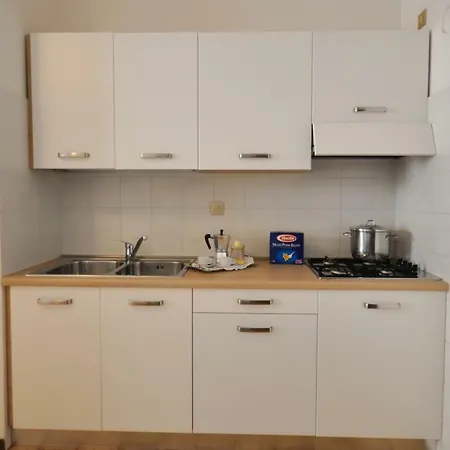 Pleione ביביונה